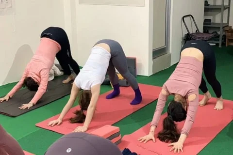 500 hour yoga ttc rishikesh 500 hour yoga ttc rishikesh