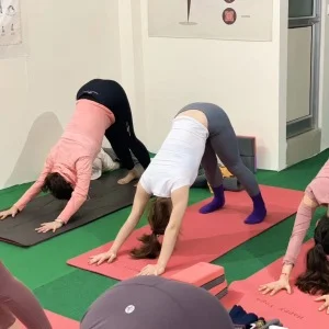 Astanga Yoga