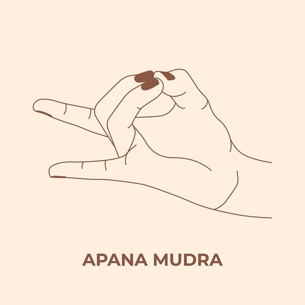 Apana Mudra Apana Mudra