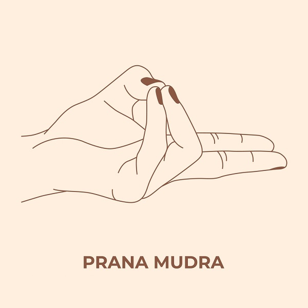 Prana Mudra Prana Mudra